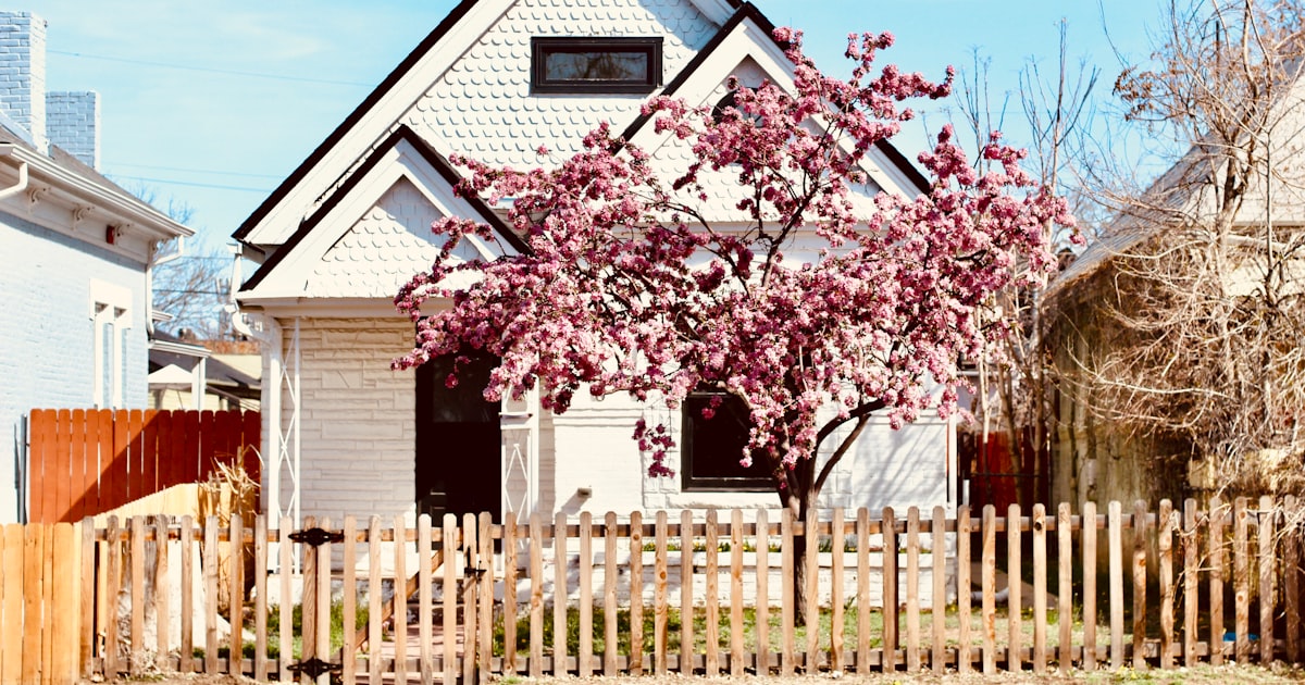 a white house with a tree in front of it
