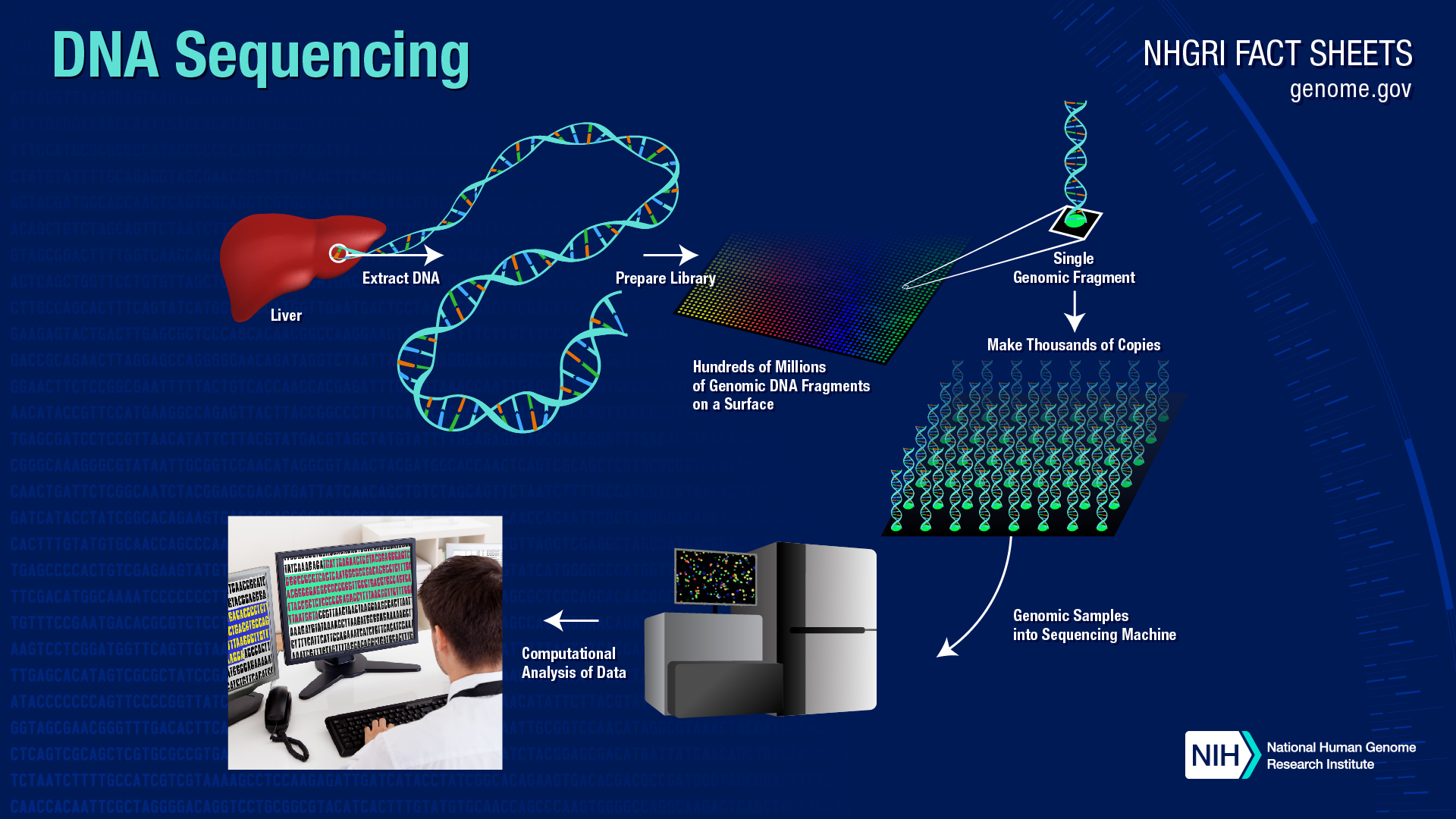 Medical laboratory DNA sequence visual