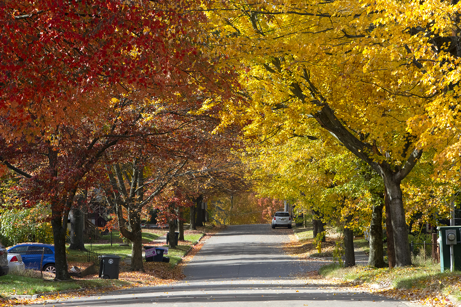 Elyria Ohio autumn neighborhood street trees