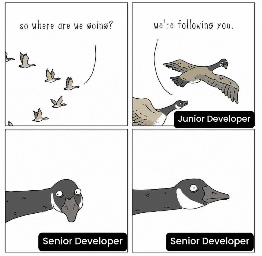Senior developer mentoring a junior on complex systems architecture