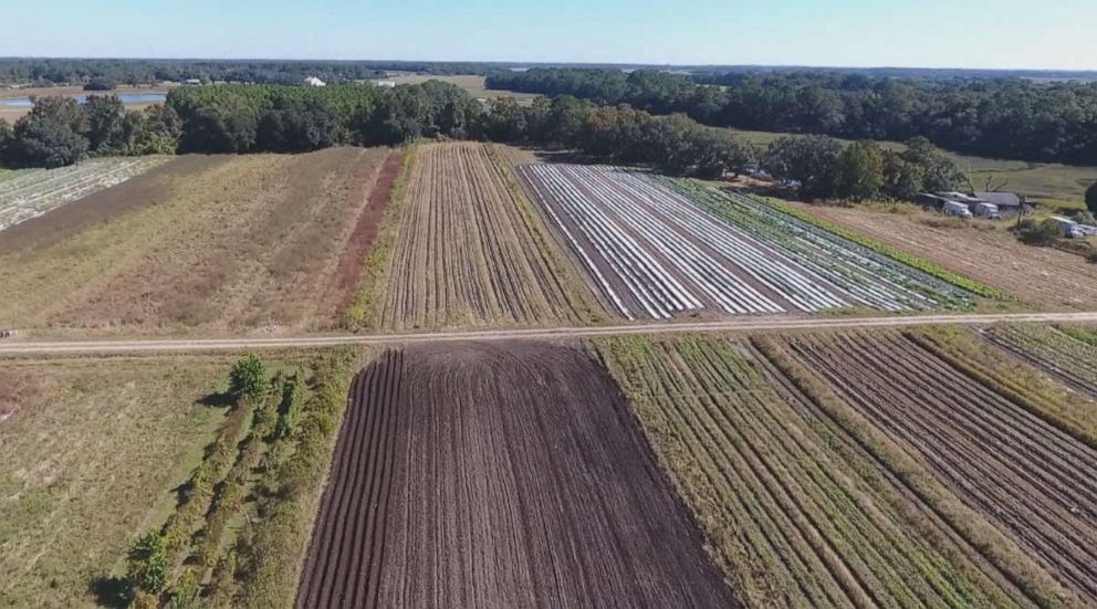 South Carolina fertile soil farm drone shot