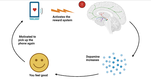Diagram of social media dopamine reward loop