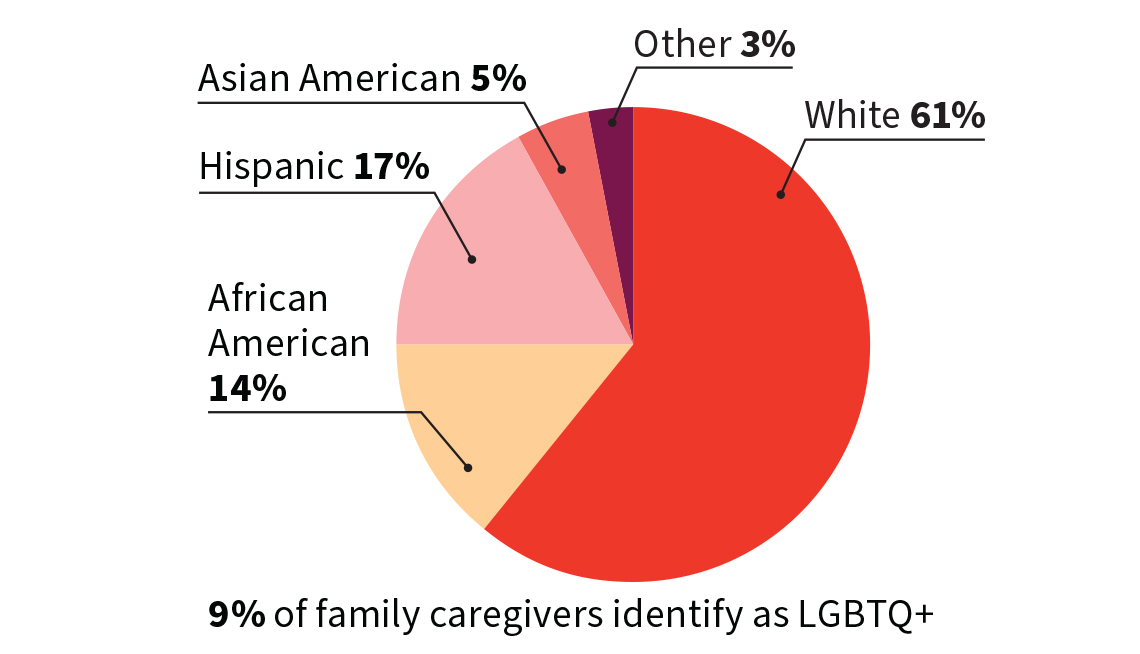 Chart of caregiving out-of-pocket expenses by category