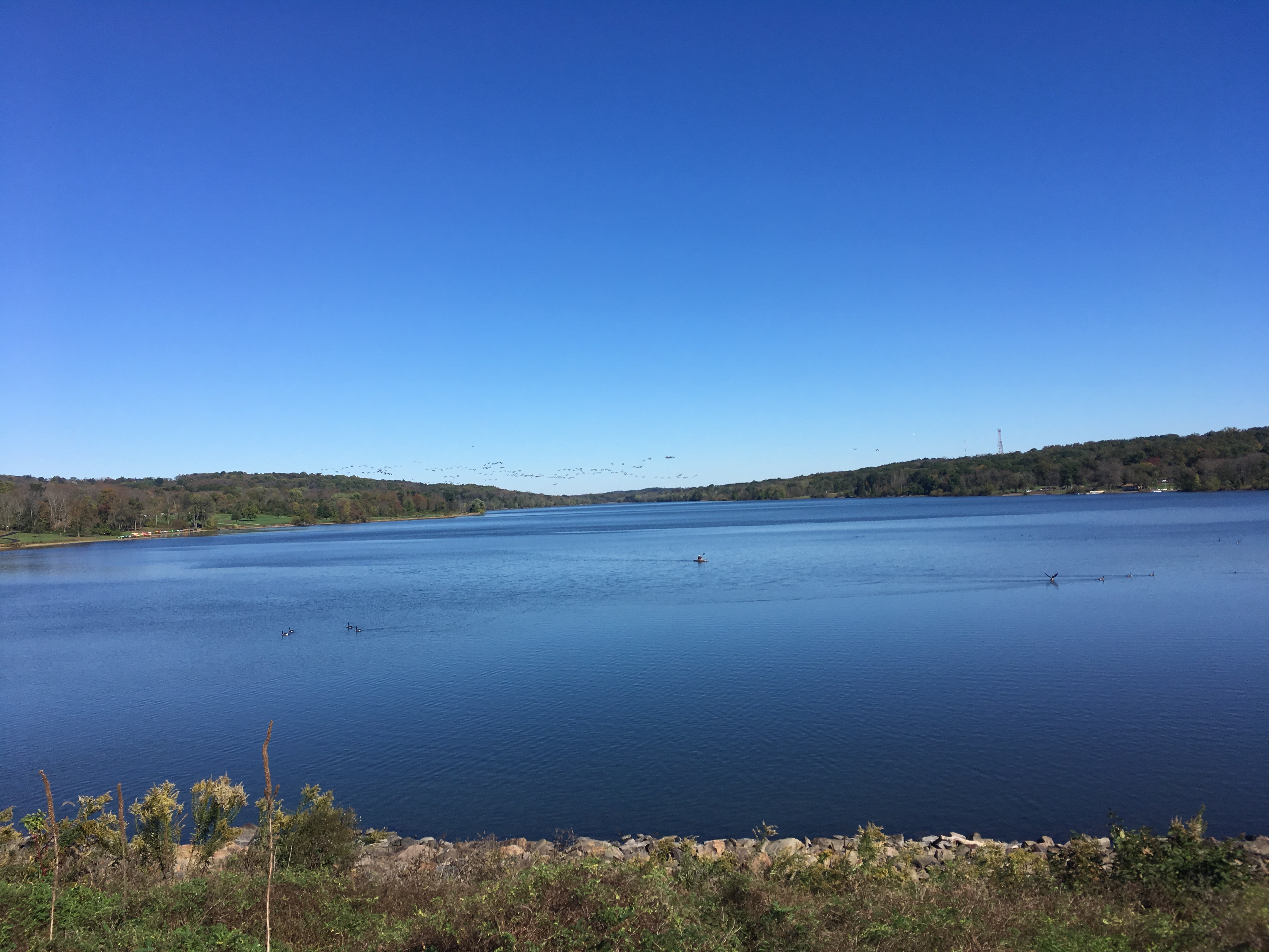 Peace Valley Park Lake Galena