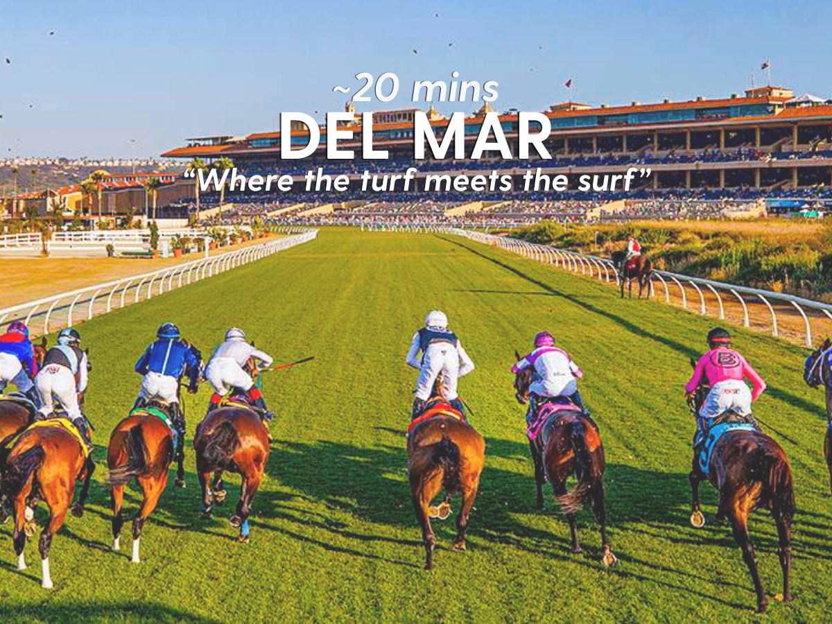 Horse jockey's view of Del Mar Racetrack.