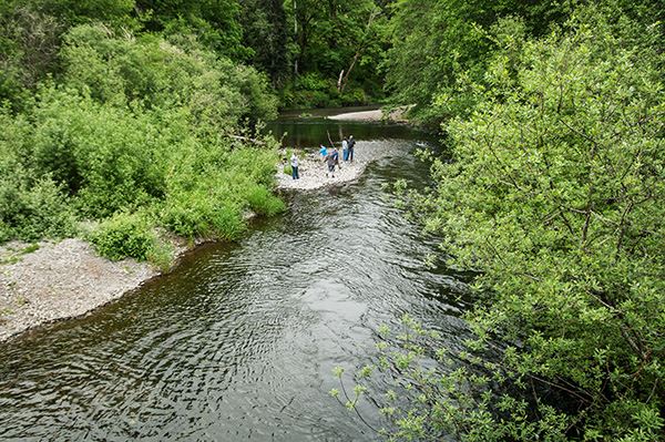 A campground along the river at Schafer State Park