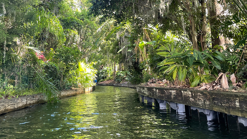 Cypress-lined canal on the Winter Park Chain of Lakes