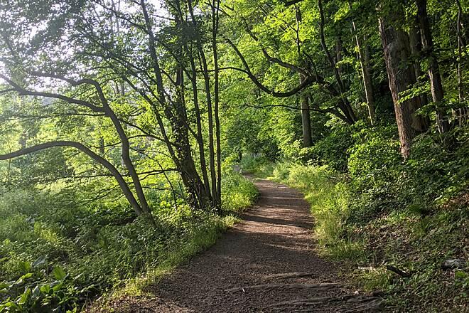 Brandywine Trail | Delaware Trails | TrailLink