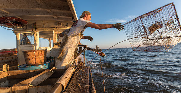 A handwritten sign and gear from a Chesapeake Bay waterman's day on the water